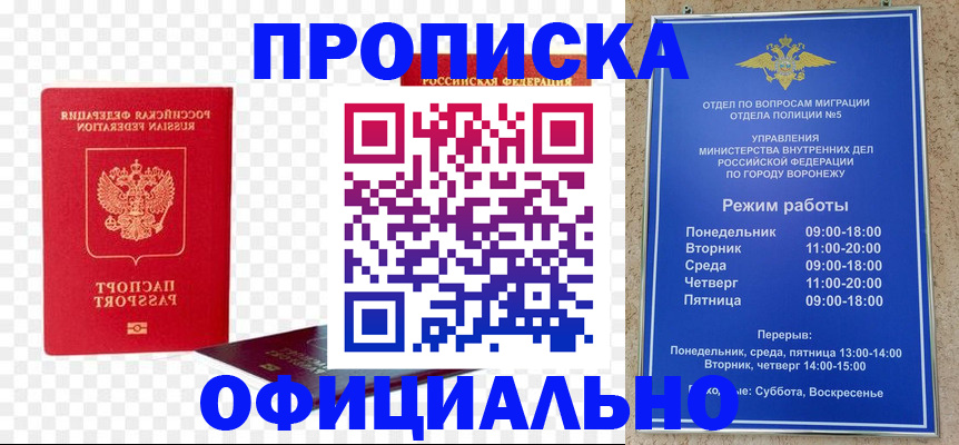 прописка иностранных граждан в Донском